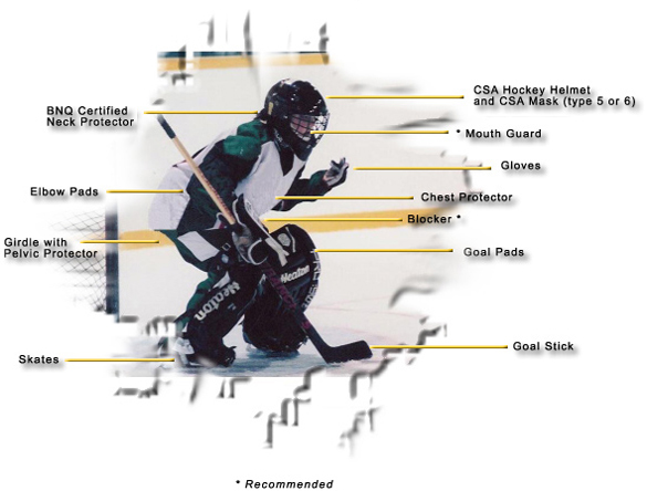 https://www.stjamesringette.ca/cloud/sjraringette/images/Content%20Pages/goalie_map.jpg